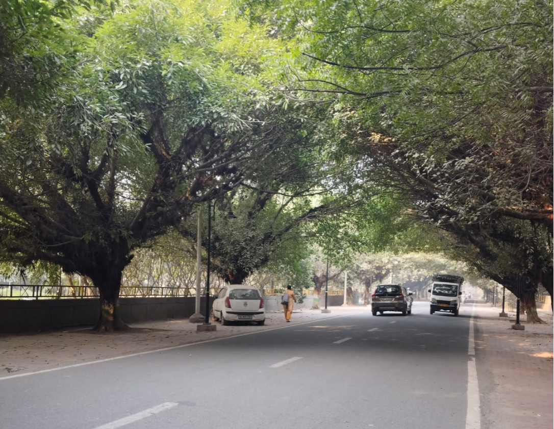 Plot for sale in Noida Sector 105